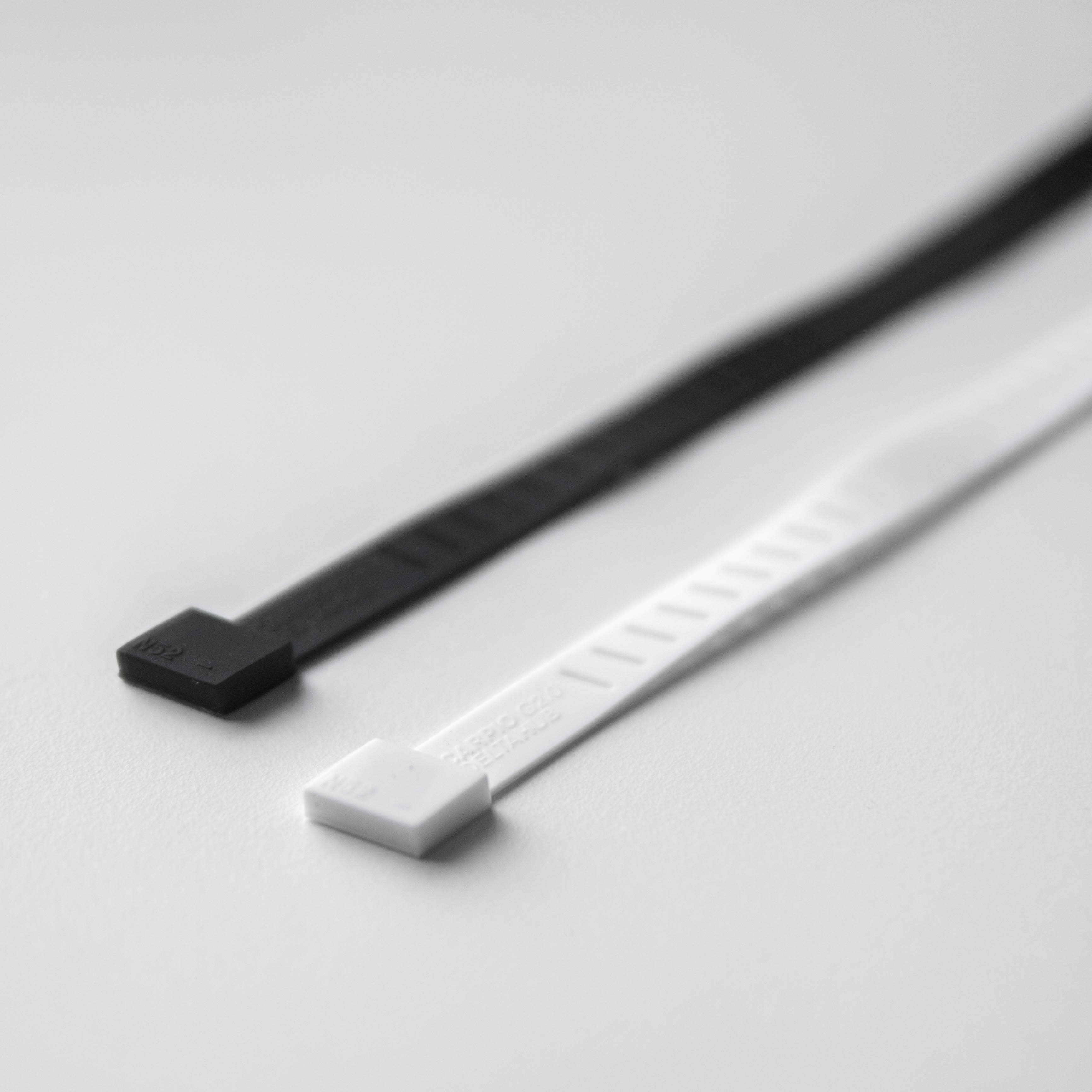 Replaceable Strap for Carpio G2.0